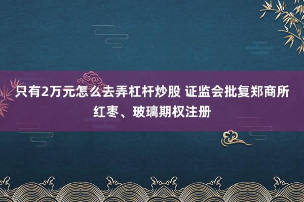 只有2万元怎么去弄杠杆炒股 证监会批复郑商所红枣、玻璃期权注册
