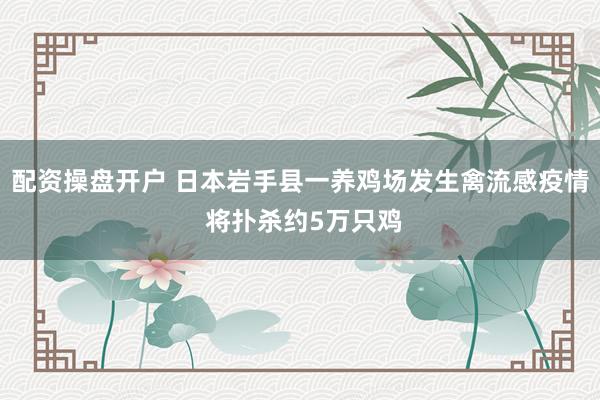 配资操盘开户 日本岩手县一养鸡场发生禽流感疫情 将扑杀约5万只鸡