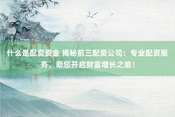 什么是配资资金 揭秘前三配资公司：专业配资服务，助您开启财富增长之旅！