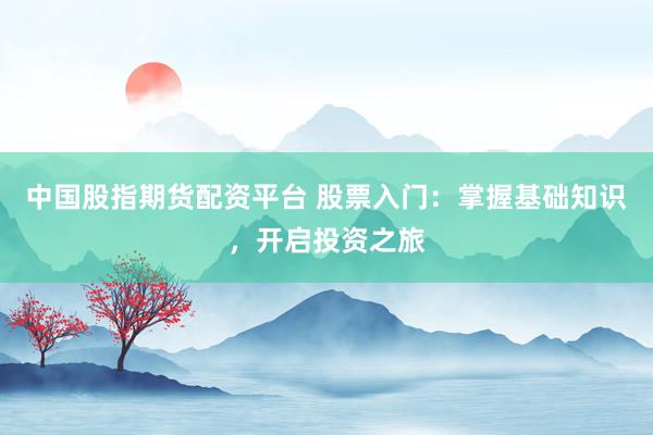 中国股指期货配资平台 股票入门：掌握基础知识，开启投资之旅