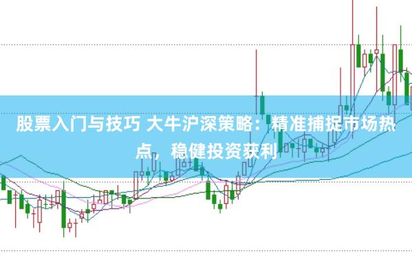 股票入门与技巧 大牛沪深策略：精准捕捉市场热点，稳健投资获利