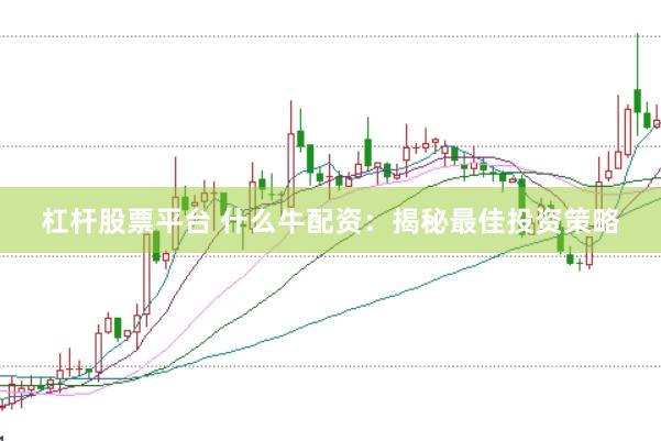杠杆股票平台 什么牛配资：揭秘最佳投资策略