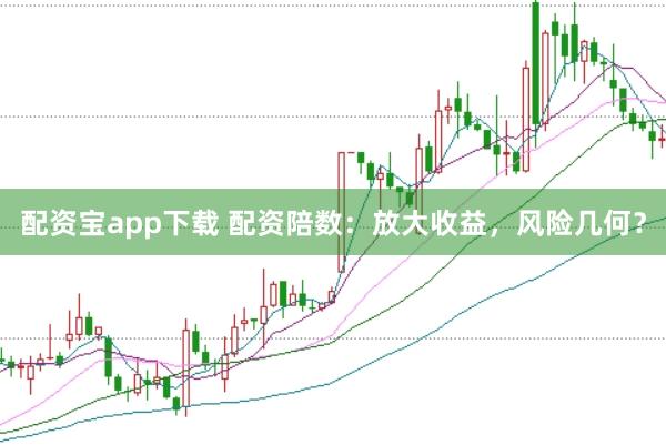 配资宝app下载 配资陪数：放大收益，风险几何？