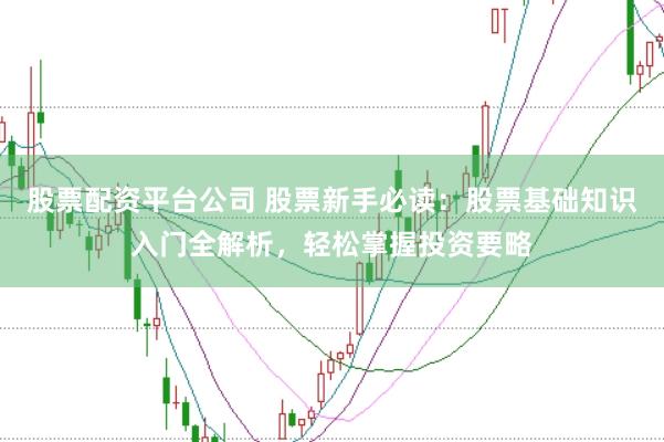 股票配资平台公司 股票新手必读：股票基础知识入门全解析，轻松掌握投资要略