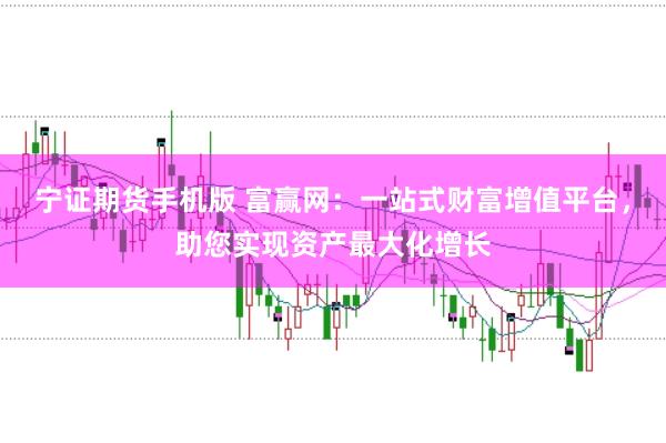 宁证期货手机版 富赢网：一站式财富增值平台，助您实现资产最大化增长