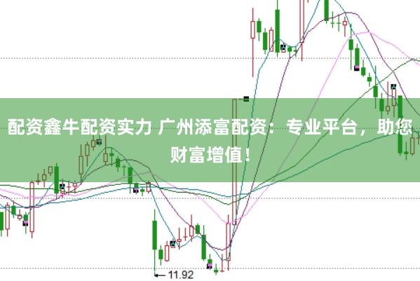 配资鑫牛配资实力 广州添富配资：专业平台，助您财富增值！