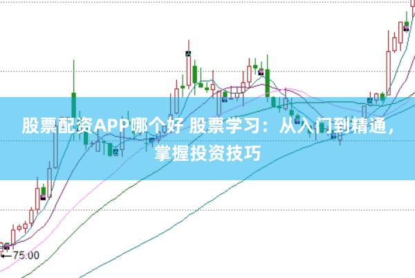 股票配资APP哪个好 股票学习：从入门到精通，掌握投资技巧