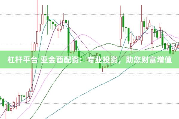 杠杆平台 亚金酉配资：专业投资，助您财富增值
