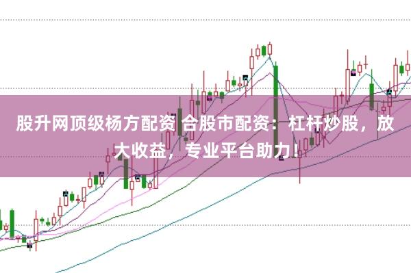 股升网顶级杨方配资 合股市配资：杠杆炒股，放大收益，专业平台助力！