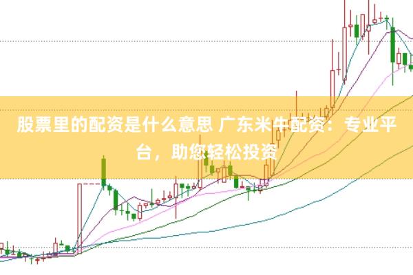 股票里的配资是什么意思 广东米牛配资：专业平台，助您轻松投资