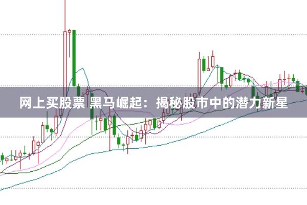 网上买股票 黑马崛起：揭秘股市中的潜力新星