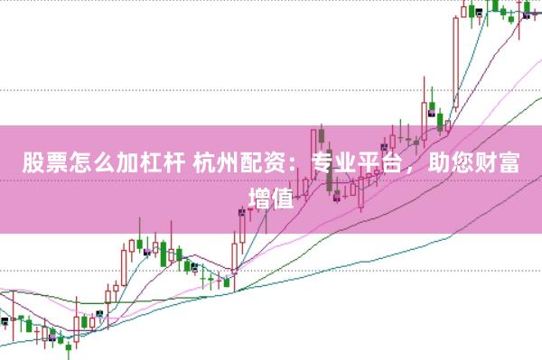 股票怎么加杠杆 杭州配资：专业平台，助您财富增值