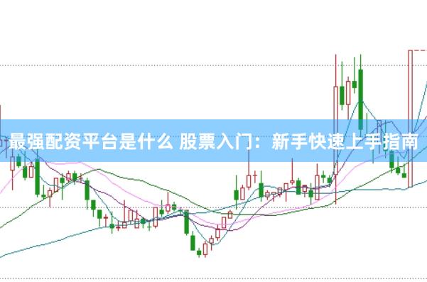 最强配资平台是什么 股票入门：新手快速上手指南