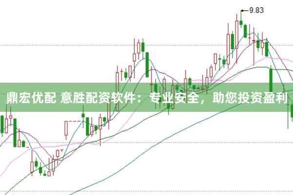 鼎宏优配 意胜配资软件：专业安全，助您投资盈利