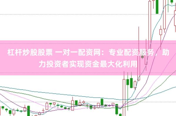 杠杆炒股股票 一对一配资网：专业配资服务，助力投资者实现资金最大化利用